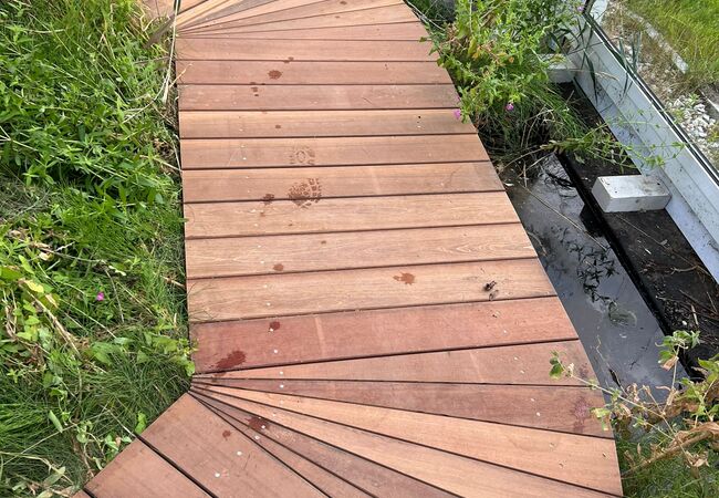 fertig verlegter Holzweg über Teich im Wintergarten